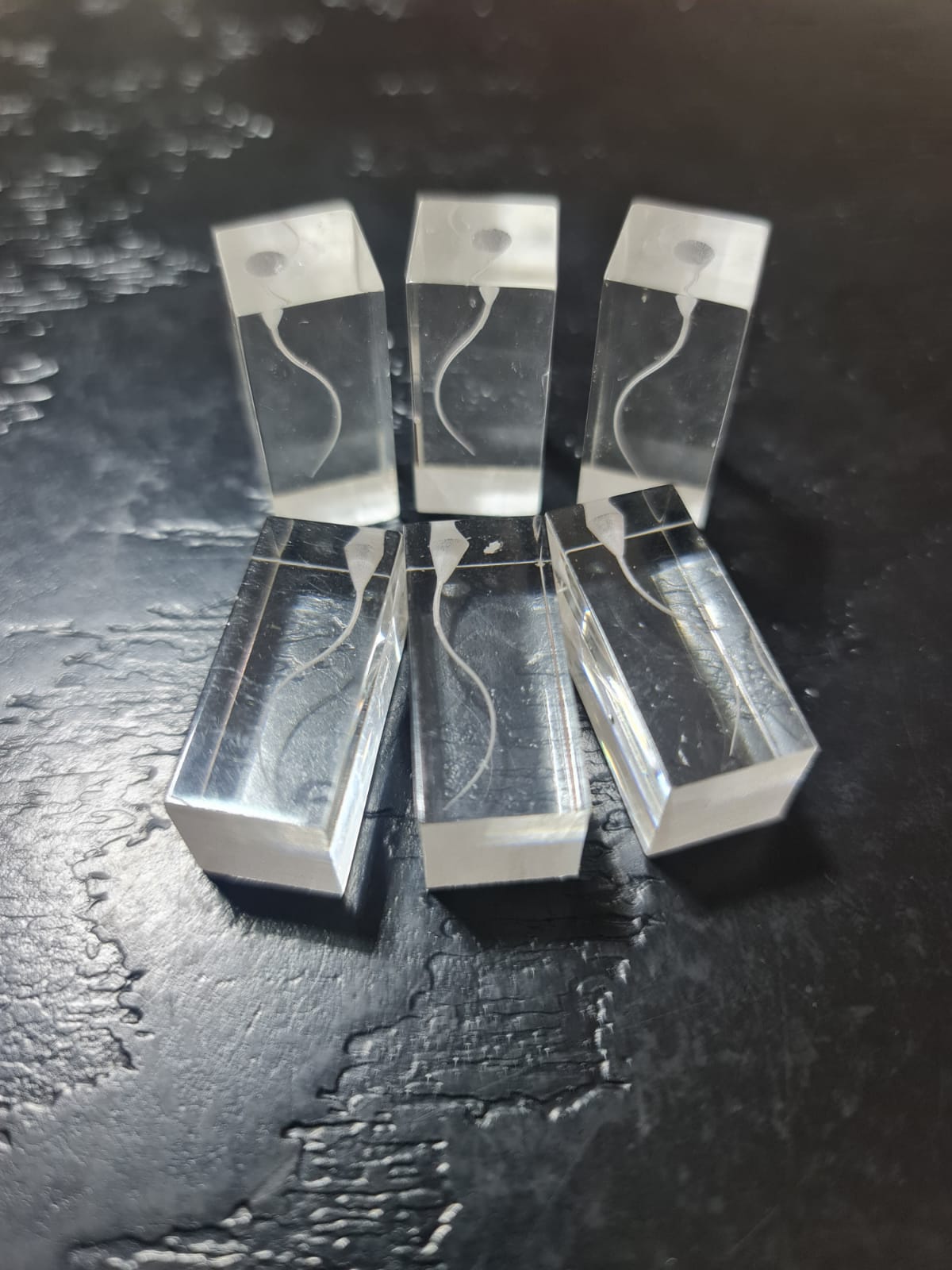 Cubo ABS Conducto en S para entrenamiento en Endodoncia , Práctica en figurado