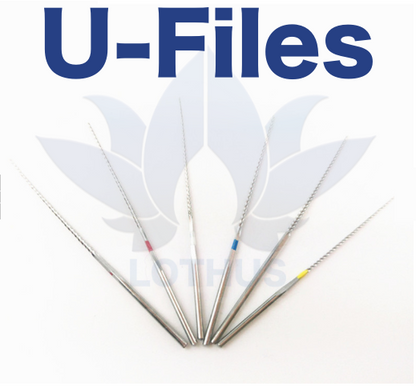 U-Files Acero Inoxidable Lothus blister con 6 , Cualquier ultrasonido