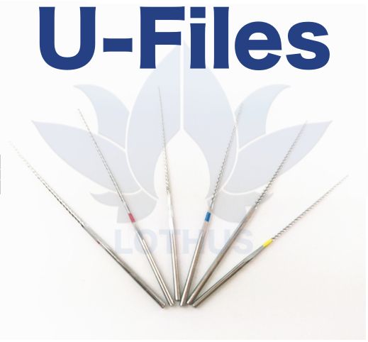 U-Files Acero Inoxidable Lothus blister con 6 , Cualquier ultrasonido